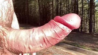 Clitlicker662 - update &num;35 - IMG 1372 - Apr 12&comma; 2025